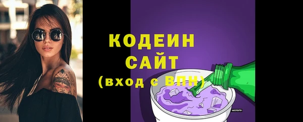 хмурый Богородицк