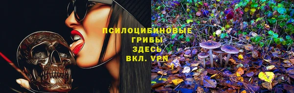 хмурый Богородицк