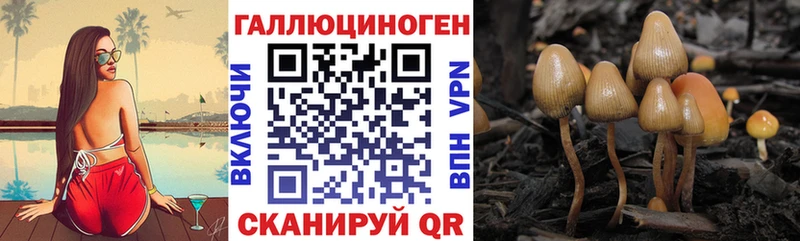 Галлюциногенные грибы MAGIC MUSHROOMS Белая Холуница